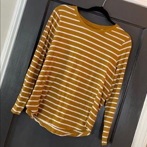 Striped Shirt